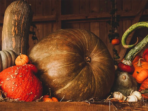 Зашто је бундева идеална и незаобилазна јесења намирница