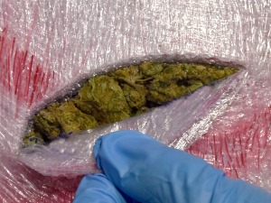 Заплењено више од 300 килограма марихуане, троје ухапшено