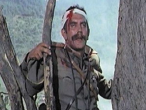 Марш на Дрину