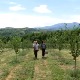 Сам измери, сам наплати