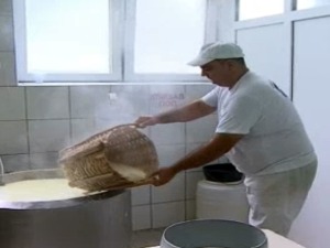 Од номада до Беле куће – зашто је рецептура пиротског качкаваља тако важна