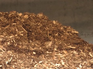 Деспотовчани и штеде и чувају животну средину – имају нову котларницу на биомасу