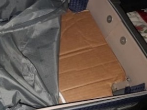 Градина, у дуплом дну кофера 230.000 евра 