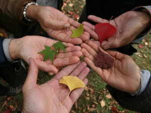 Пандемија оголила неједнакости - све смо толерантнији на безобразлук уместо на различитости