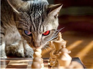 Свет богатији него икада пре, Кина претекла Америку