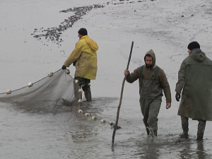 Пуне руке посла за рибаре, а цена знатно виша него прошле године