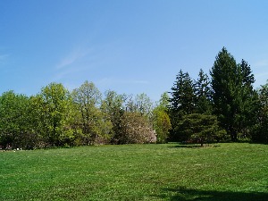 Национални конвент: Повући закон о експропријацији, недопустив удар на приватну својину грађана