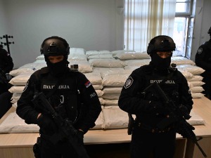 Више од пола тоне марихуане заплењено у Нишу, ухапшена једна особа