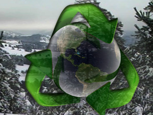 Еко минијатуре: Пази отровно - Шкорпије