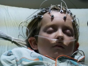 Девет живота Луја Дракса