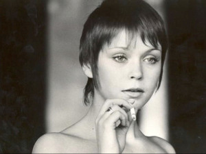 Вишња на Ташмајдану