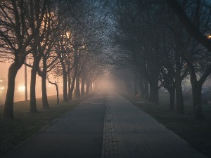 Ноћне променаде