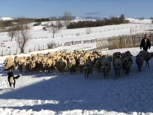 Како горштаци с Пештери дочекују зиму сличну сибирској 