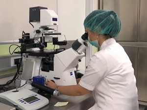 Колико је пандемија успорила вантелесну оплодњу - хоће ли на крају године бити више беба