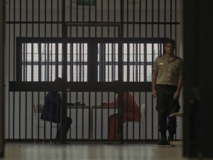 Срце злочина: Радојица Никчевић и закон гравитације