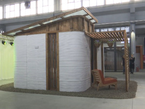 Прва три-де штампана кућа у Источној Европи изграђена у Чачку