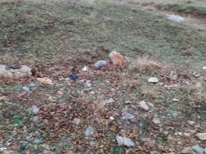 Поново срушена плоча несталим новинарима Ђуру Славују и Ранку Перенићу