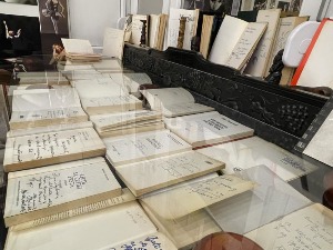 Сада можете да завирите у библиотеку чувеног Бате Стојковића