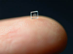 Научници успели да смање камеру до величине зрна соли и направе задивљујуће снимке