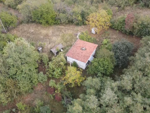 Моја дедовина: Бабовина није на продају!