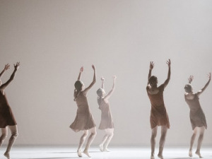        Тијере, Шехтер, Перез, Пајт