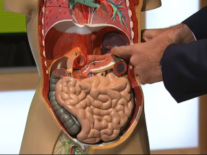 Карцином панкреаса – све чешћи и један од најагресивнијих  