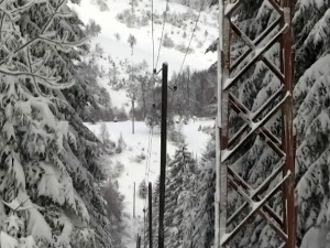Ко је крив за попадале бандере и неискрчену шуму, због чега су многи били без струје