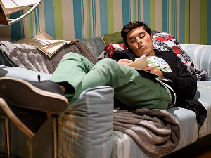 Муке једног Лава