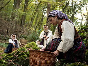 Нечиста крв