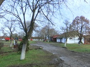 Ново лице пољопривредних школа – лекције и за сопствени бизнис