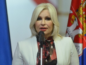 Михајловић: Није само снег проблем, потребне су промене у ЕПС-у