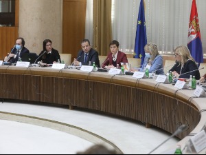 Брнабић: Суштинска тема за владавину права, а нема чланова Радне групе