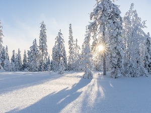 Ритам раног јутра