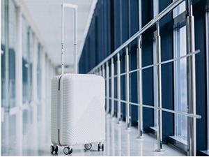 Цариници искусни и обучени да открију шверц и кријумчаре, чак и када дрогом натопе гардеробу