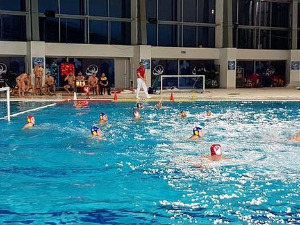 Вести из света спорта