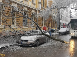 Ледена киша у Суботици – изваљене бандере, уништени аутомобили, покидани струјни каблови