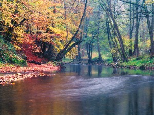 Моја Србија – изложба фотографија Станка Костића