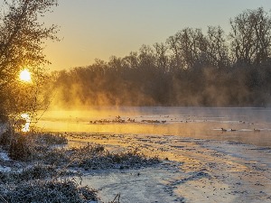Ритам празничног јутра  	