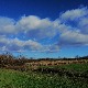 Политика и бивствовање