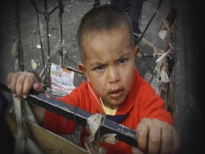 Приступачан програм: Грађанин - Власи и Хомоље (СЗЈ)