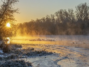 Ритам божићног јутра