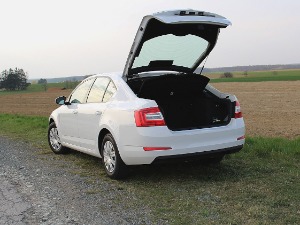 Американка сакрила сина позитивног на коронавирус у гепек аутомобила 