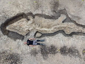 У Енглеској откривен фосил „морског змаја“ дуг 10 метара 