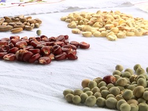 Банка без новца, а чува благо - даје позајмице, а нема камате