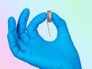 Илон Маск већ регрутује запослене који ће тестирати мождани чип на људима