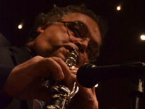 Медијска мрежа српске дијаспоре: Повратна карта