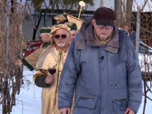 Зашто је снег обрадовао винаре са севера Бачке