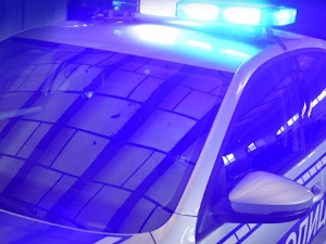 Ухапшено пет особа због бесправне сече шума, трага се за црногорским држављанином