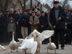 Квадратура круга: Мокрин