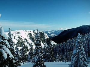 Моја лепа Србија: Хајдемо у планине